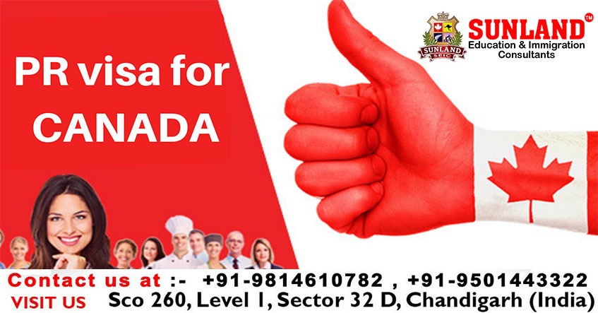 Basic Requirements for Canada Visitor Visas